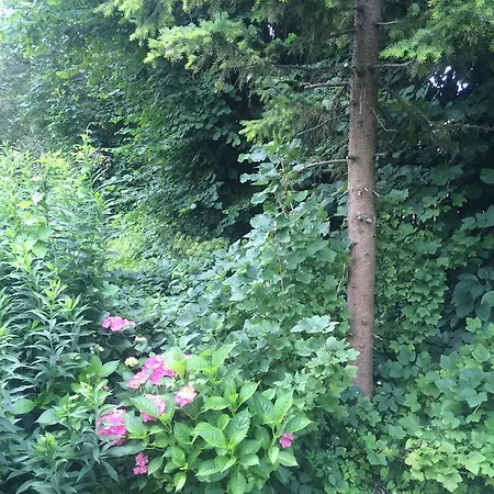 Close But Quiet Bed & Breakfast Herlev