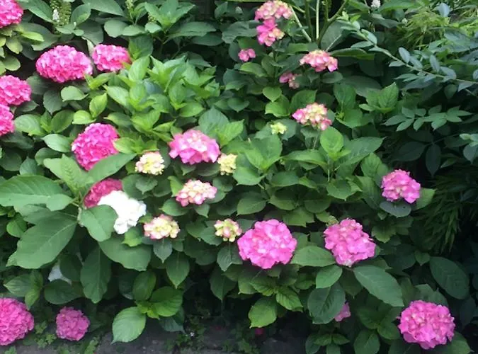 Bed & Breakfast Close But Quiet Herlev