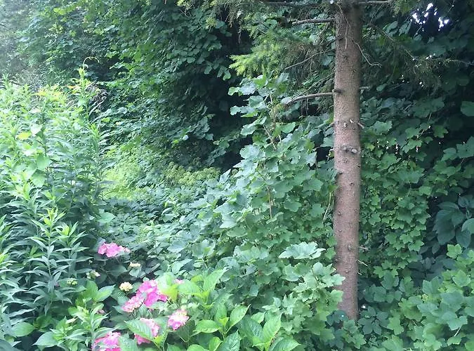 Close But Quiet Bed & Breakfast Herlev